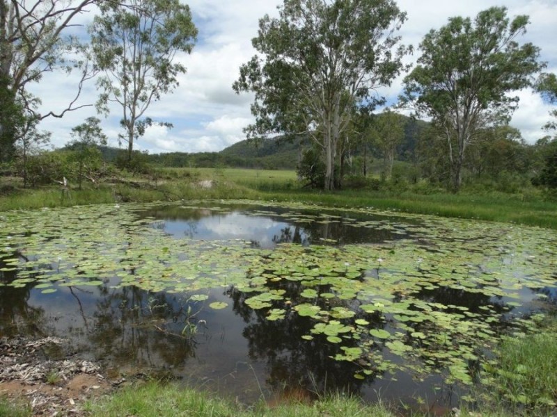 Lot 80 Kiora Road, Miriam Vale QLD 4677