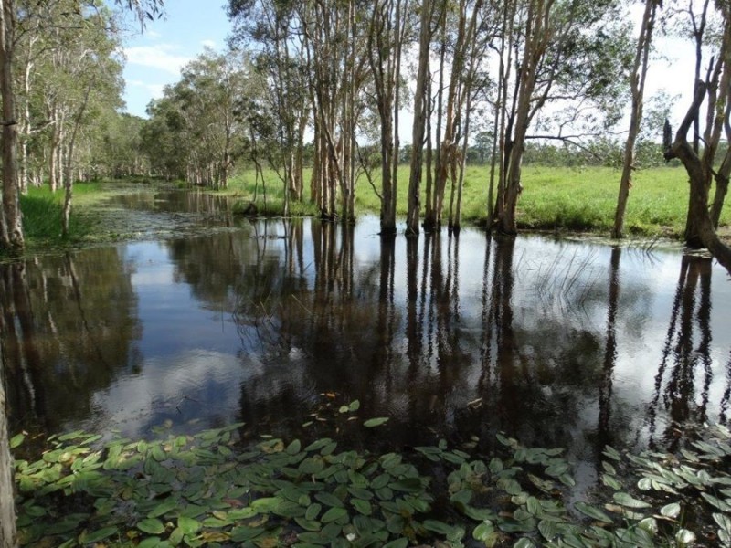 143 South Littabella Road, Yandaran QLD 4673