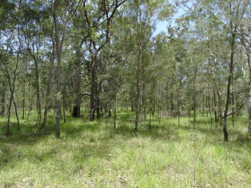 Lot 55 Pacific Drive, Deepwater QLD 4674