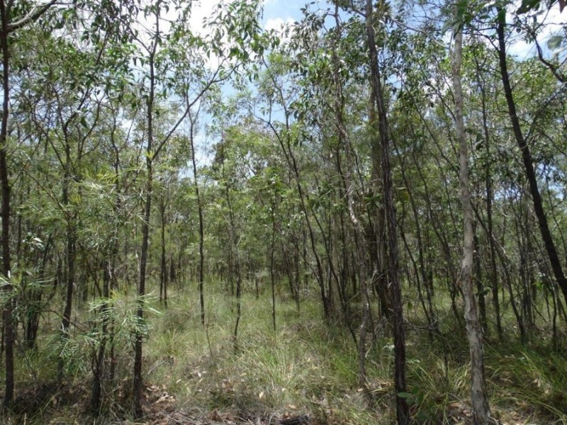 Lot 55 Pacific Drive, Deepwater QLD 4674