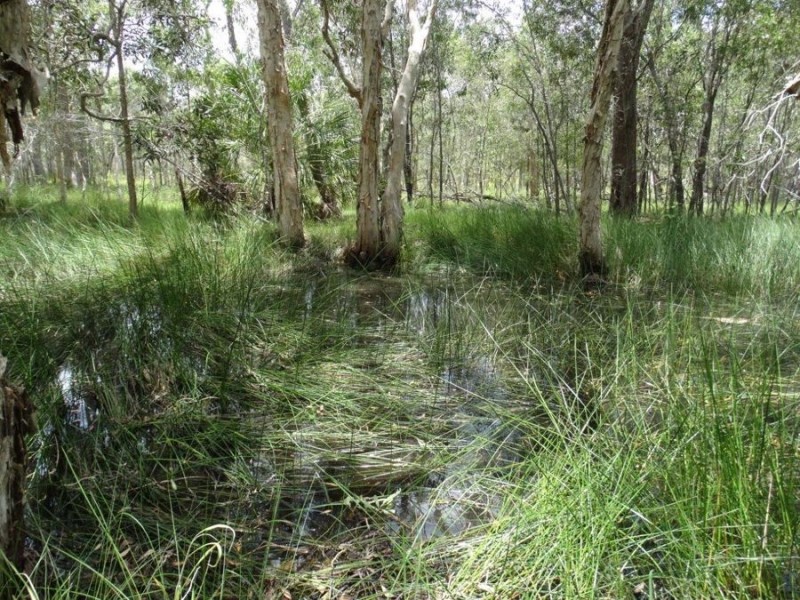 Lot 55 Pacific Drive, Deepwater QLD 4674