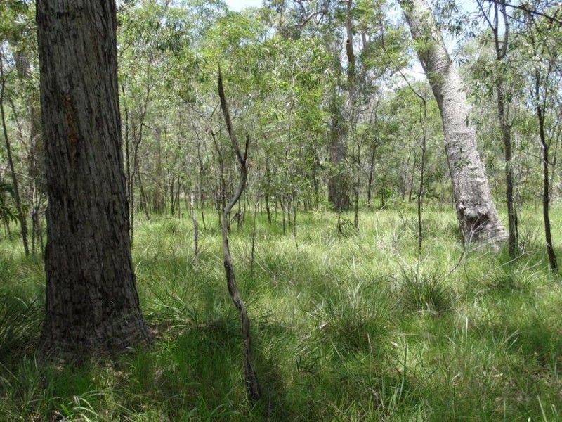 Lot 55 Pacific Drive, Deepwater QLD 4674