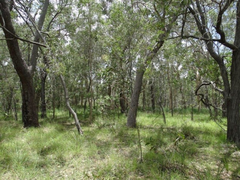 Lot 55 Pacific Drive, Deepwater QLD 4674