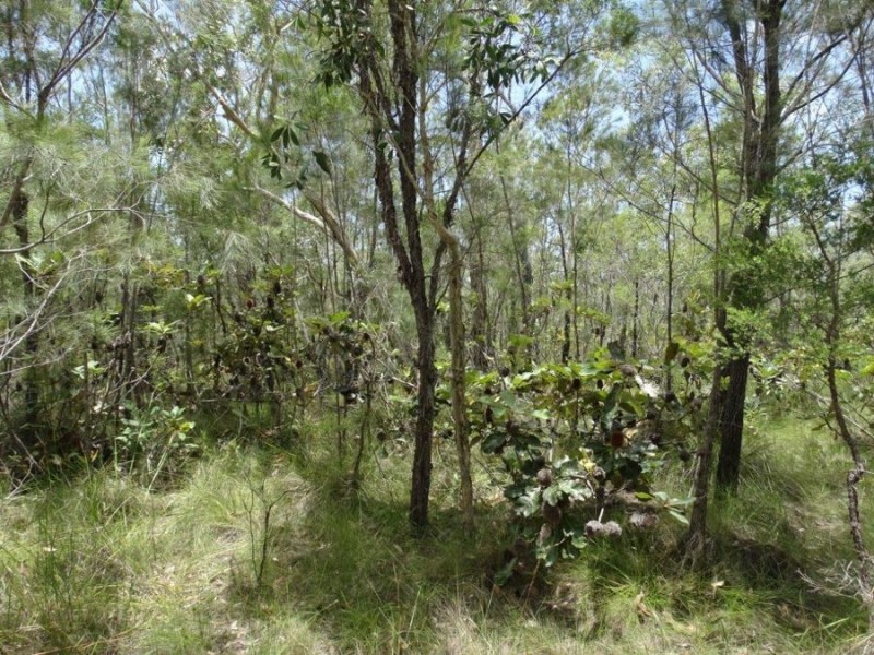 Lot 55 Pacific Drive, Deepwater QLD 4674