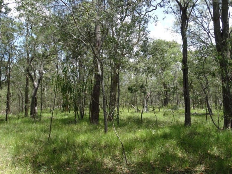 Lot 55 Pacific Drive, Deepwater QLD 4674