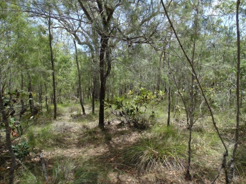 Lot 55 Pacific Drive, Deepwater QLD 4674