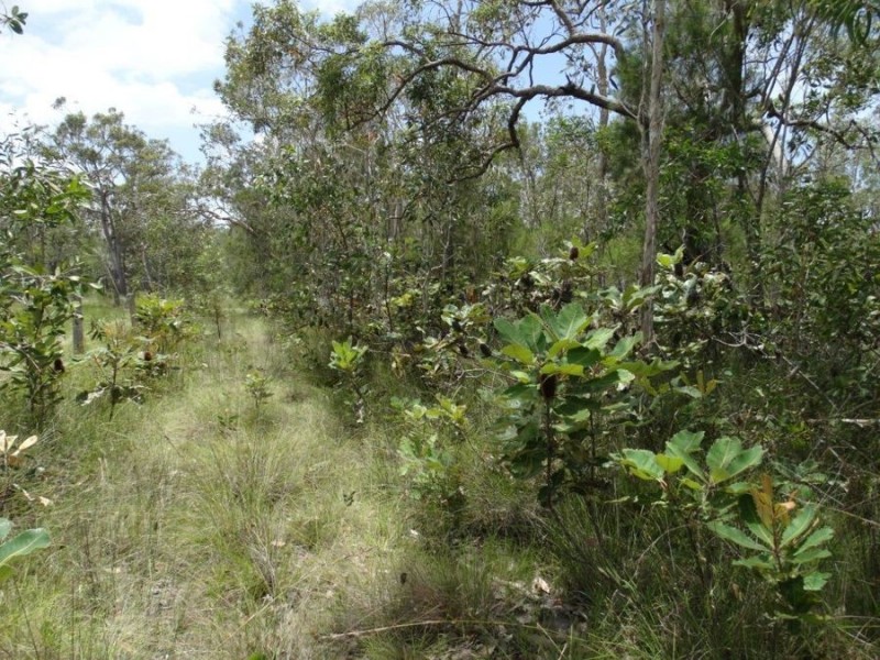 Lot 55 Pacific Drive, Deepwater QLD 4674