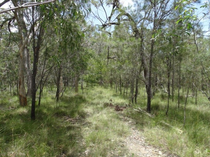 Lot 55 Pacific Drive, Deepwater QLD 4674