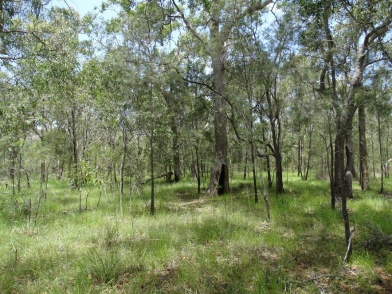 Lot 55 Pacific Drive, Deepwater QLD 4674