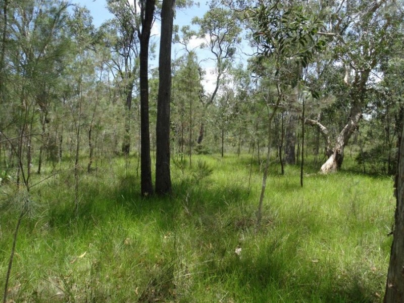 Lot 55 Pacific Drive, Deepwater QLD 4674