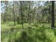 Lot 55 Pacific Drive, Deepwater QLD 4674
