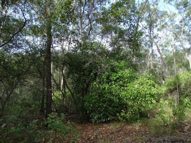Lot 68 Cross Road, Euleilah QLD 4674