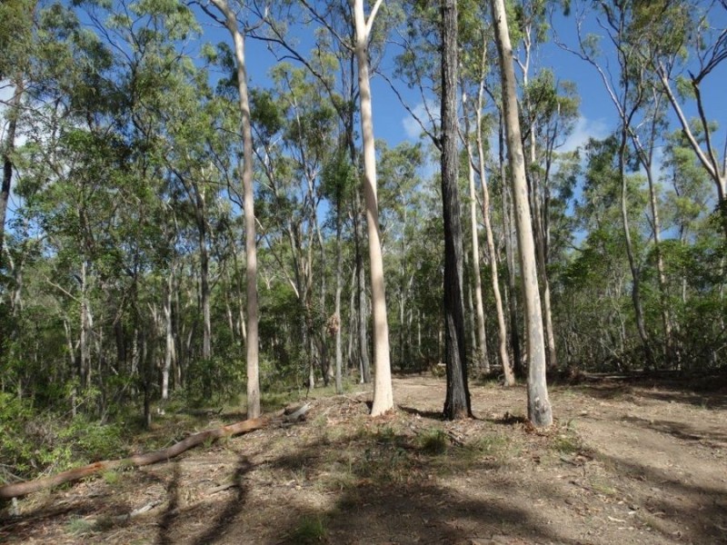 Lot 68 Cross Road, Euleilah QLD 4674