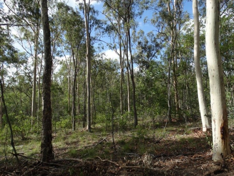 Lot 68 Cross Road, Euleilah QLD 4674