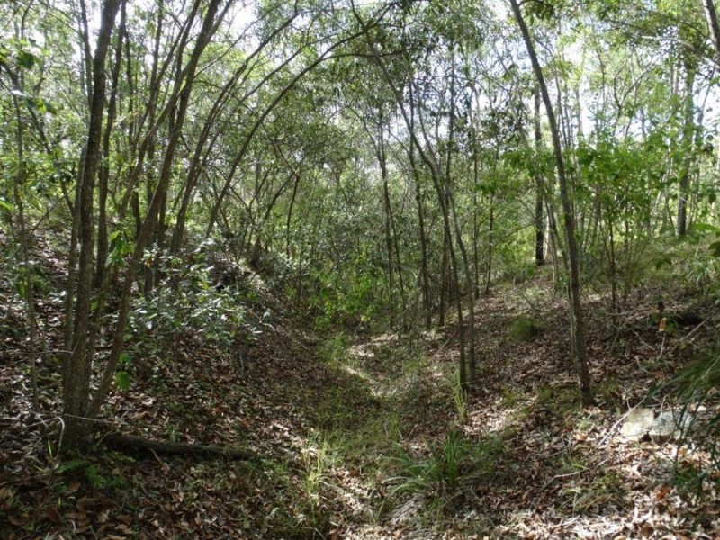 Lot 68 Cross Road, Euleilah QLD 4674