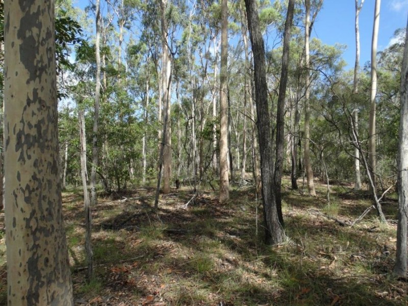 Lot 68 Cross Road, Euleilah QLD 4674