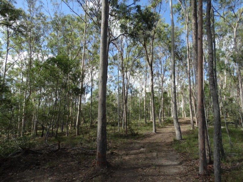Lot 68 Cross Road, Euleilah QLD 4674