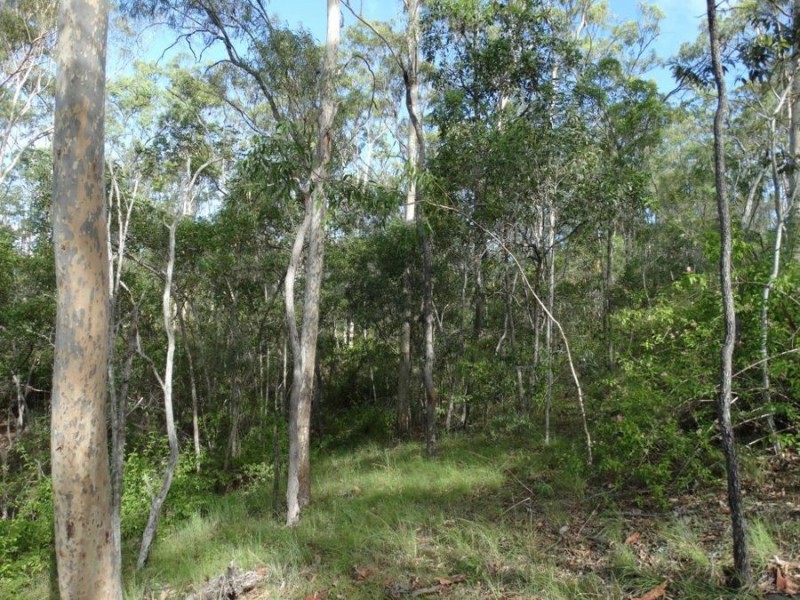 Lot 68 Cross Road, Euleilah QLD 4674