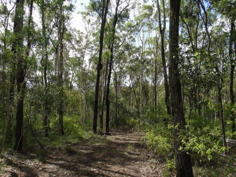 Lot 68 Cross Road, Euleilah QLD 4674