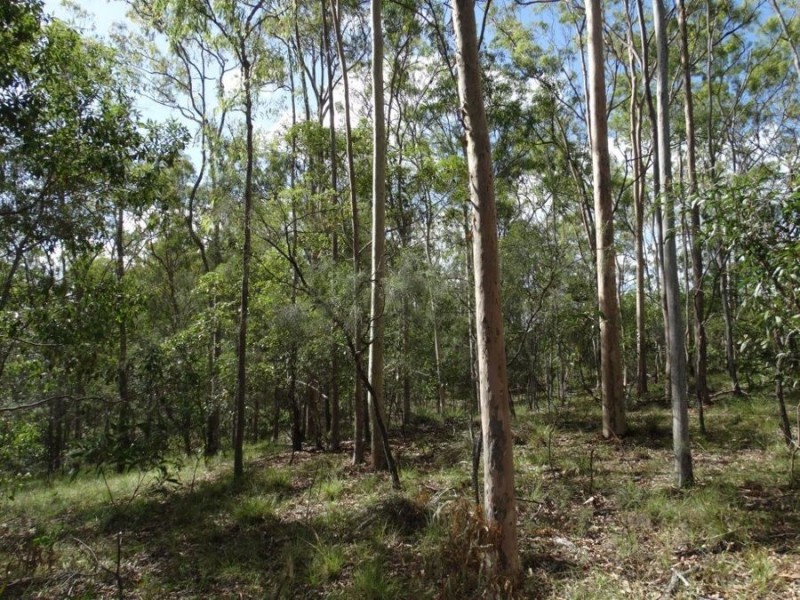 Lot 68 Cross Road, Euleilah QLD 4674