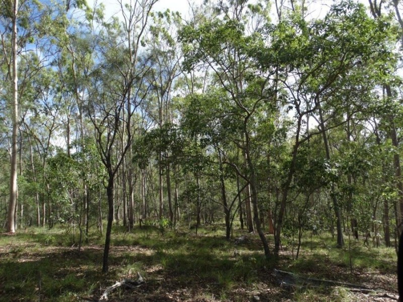Lot 68 Cross Road, Euleilah QLD 4674