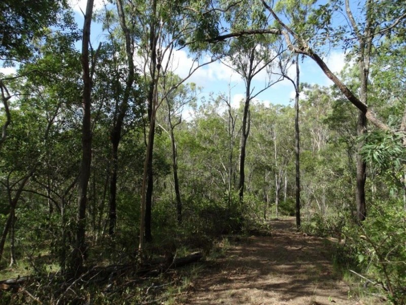 Lot 68 Cross Road, Euleilah QLD 4674