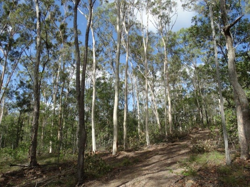 Lot 68 Cross Road, Euleilah QLD 4674