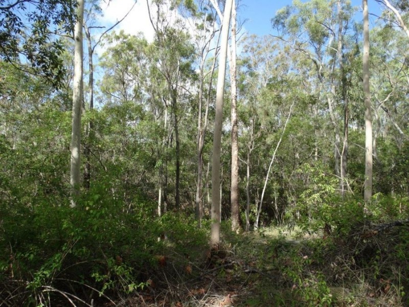 Lot 68 Cross Road, Euleilah QLD 4674