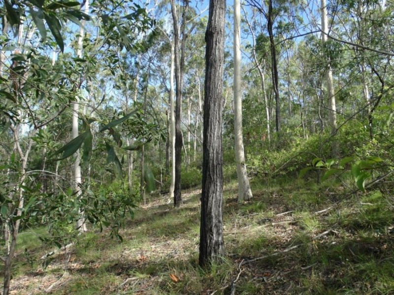 Lot 68 Cross Road, Euleilah QLD 4674