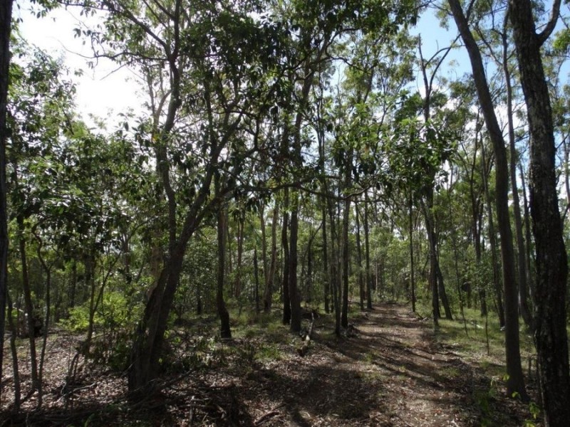 Lot 68 Cross Road, Euleilah QLD 4674