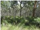 Lot 23 Dale Drive, Rules Beach QLD 4674