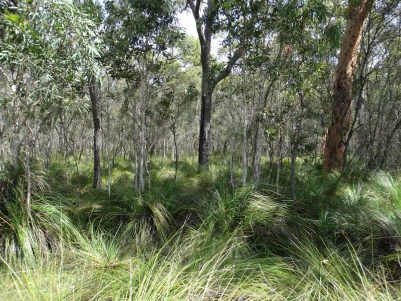 Lot 23 Dale Drive, Rules Beach QLD 4674