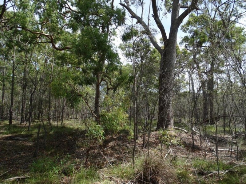 Lot 23 Dale Drive, Rules Beach QLD 4674