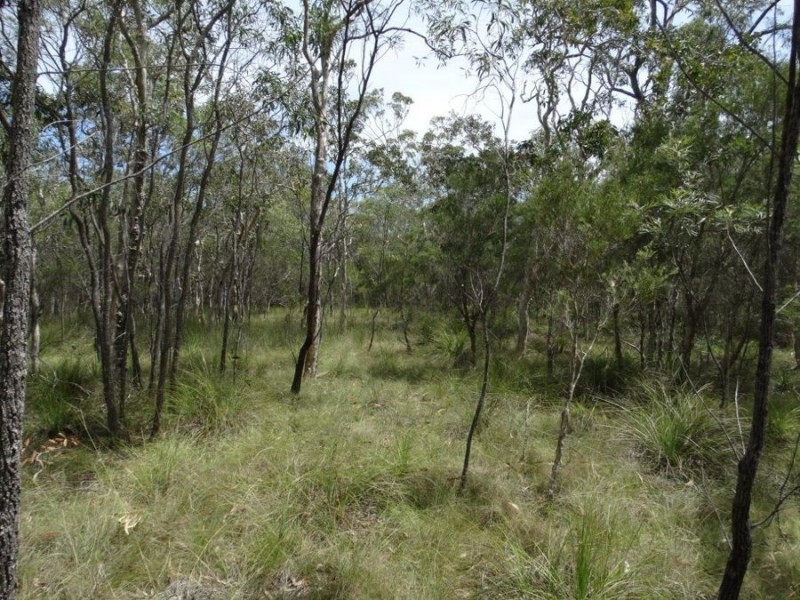 Lot 23 Dale Drive, Rules Beach QLD 4674
