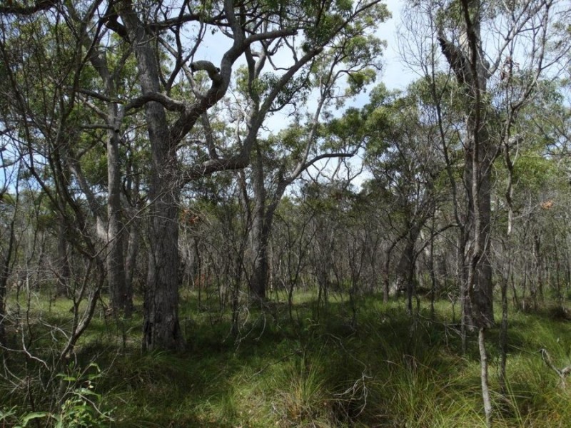 Lot 23 Dale Drive, Rules Beach QLD 4674