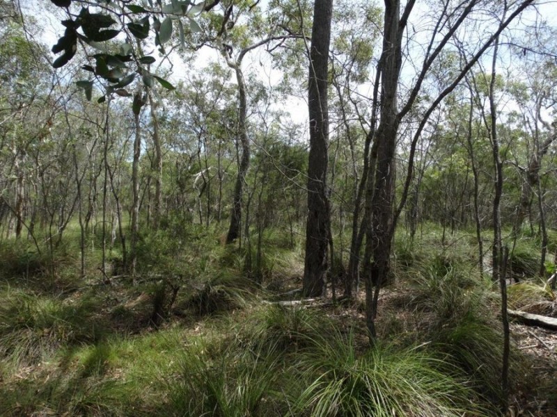 Lot 23 Dale Drive, Rules Beach QLD 4674