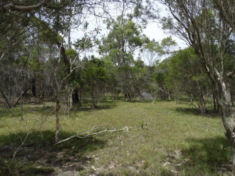 Lot 23 Dale Drive, Rules Beach QLD 4674