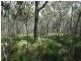 Lot 23 Dale Drive, Rules Beach QLD 4674