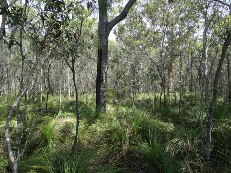 Lot 23 Dale Drive, Rules Beach QLD 4674