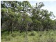 Lot 23 Dale Drive, Rules Beach QLD 4674