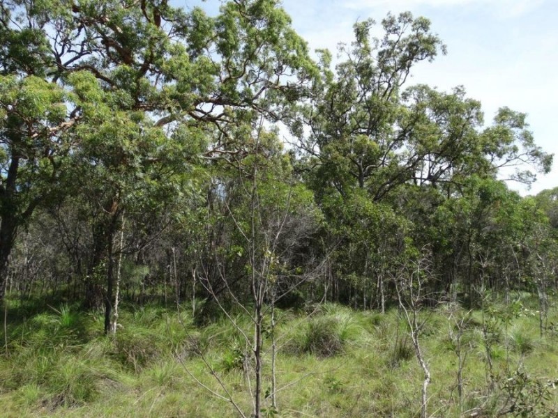 Lot 23 Dale Drive, Rules Beach QLD 4674