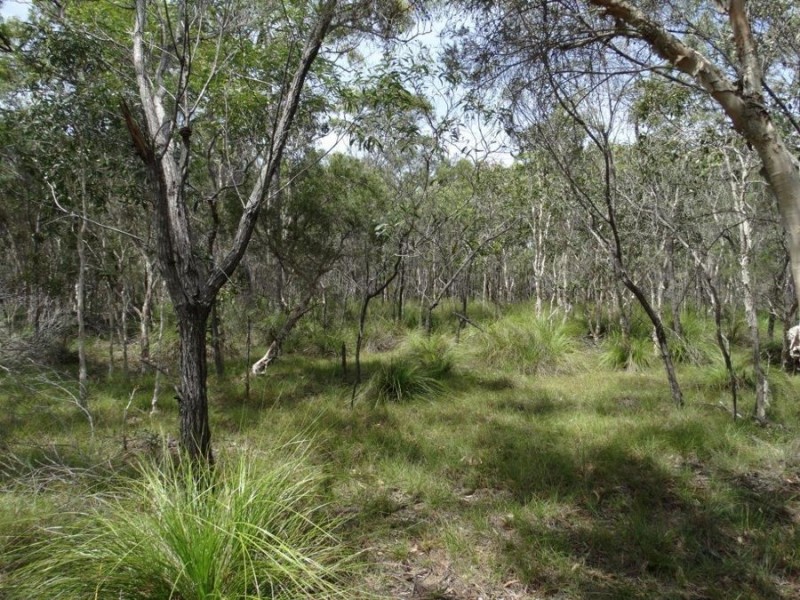Lot 23 Dale Drive, Rules Beach QLD 4674