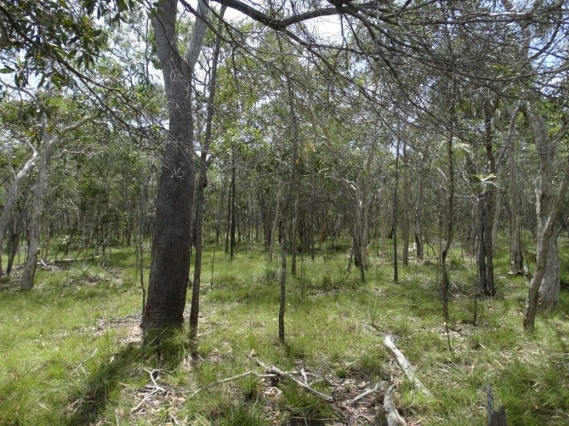 Lot 23 Dale Drive, Rules Beach QLD 4674