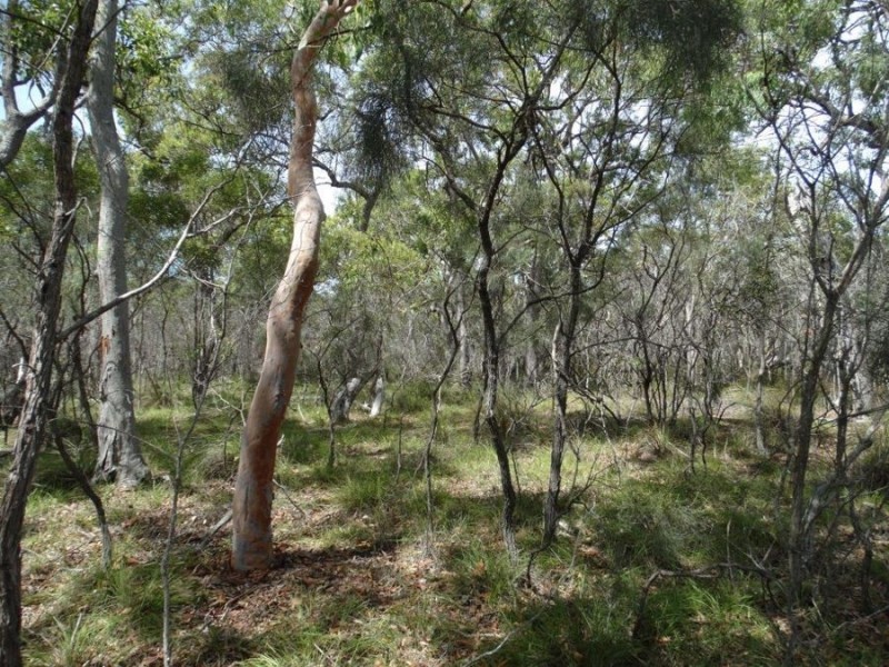 Lot 23 Dale Drive, Rules Beach QLD 4674