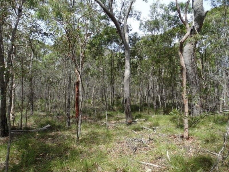 Lot 23 Dale Drive, Rules Beach QLD 4674