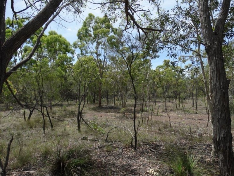 Lot 23 Dale Drive, Rules Beach QLD 4674