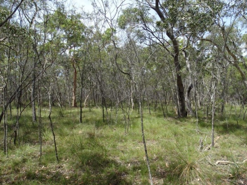 Lot 23 Dale Drive, Rules Beach QLD 4674