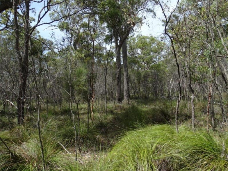 Lot 23 Dale Drive, Rules Beach QLD 4674