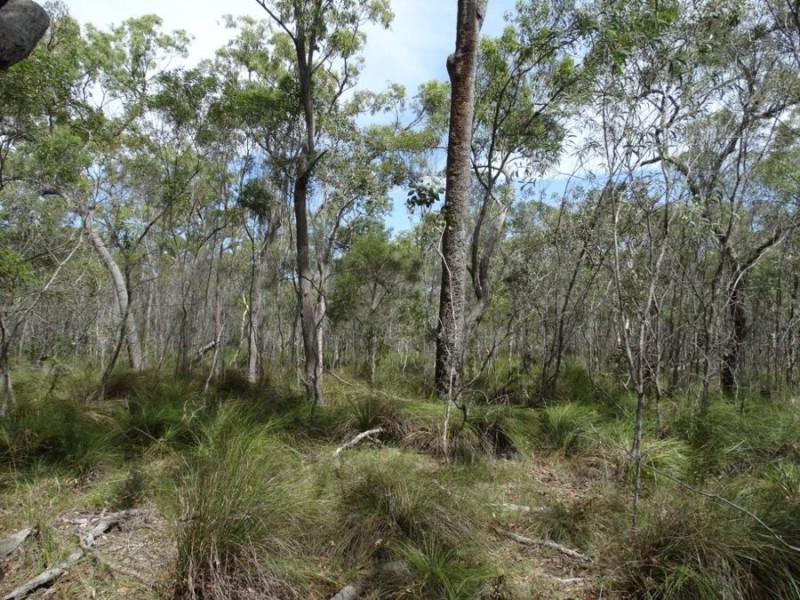 Lot 23 Dale Drive, Rules Beach QLD 4674