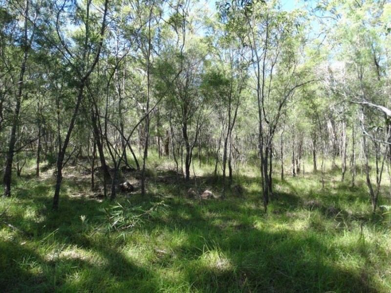 385 Capricornia Drive, Deepwater QLD 4674